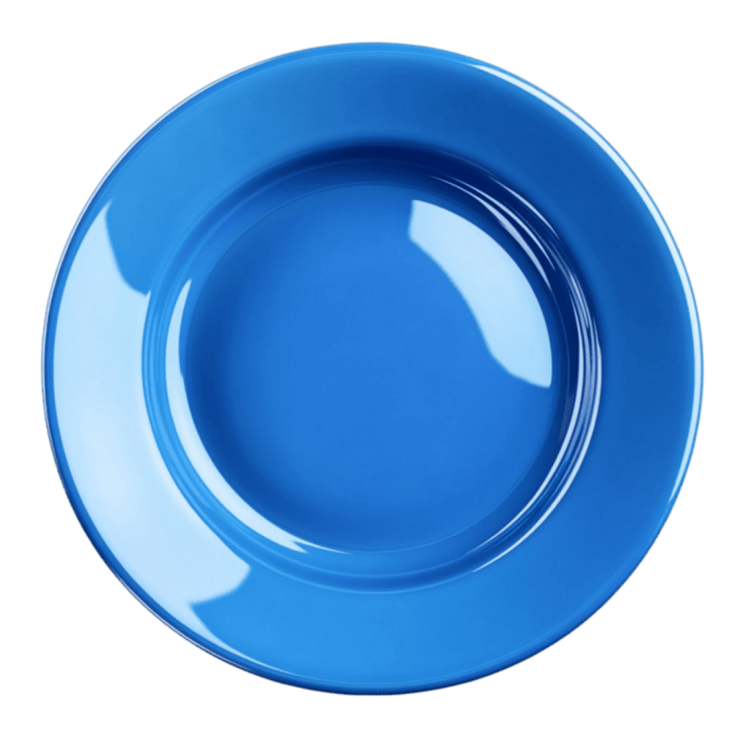 THERMOPAK 8'' ROUND BLUE PLATE 
